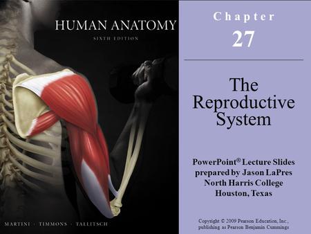 C h a p t e r 27 The Reproductive System PowerPoint ® Lecture Slides prepared by Jason LaPres North Harris College Houston, Texas Copyright © 2009 Pearson.