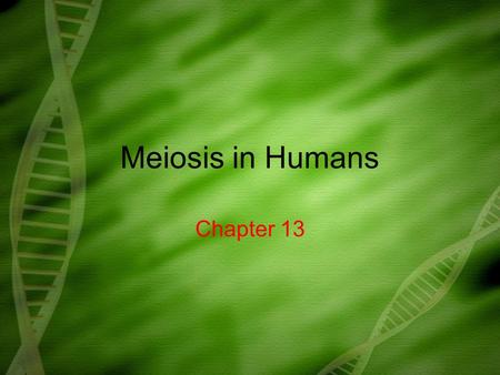 Meiosis in Humans Chapter 13. What you need to know! The role of meiosis and fertilization in sexually reproducing organisms Meiotic abnormalities.