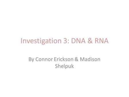 Investigation 3: DNA & RNA