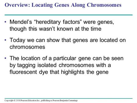 Overview: Locating Genes Along Chromosomes Mendel’s “hereditary factors” were genes, though this wasn’t known at the time Today we can show that genes.