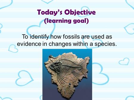Today’s Objective (learning goal) To identify how fossils are used as evidence in changes within a species.