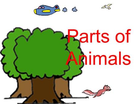 Parts of Animals. Where Do Animals Live? Where do animals live? Some animals live in a pond. Some live in the ocean. Some live in the forest. Some live.