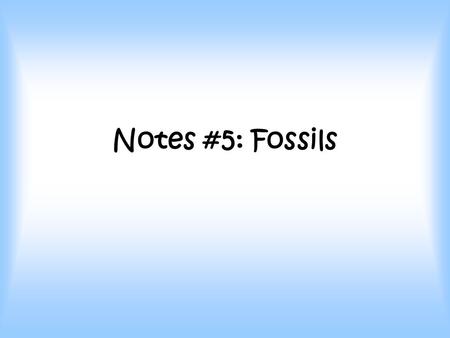 Notes #5: Fossils.
