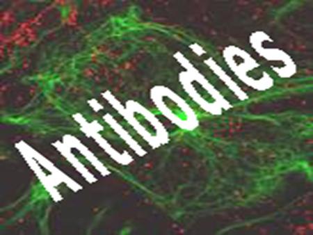 HUMORAL IMMUNITY Primary molecular component: antibody