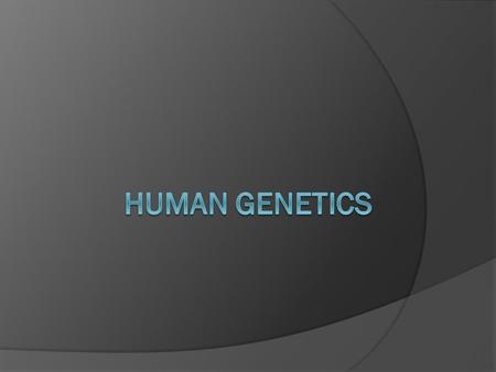  Studying humans requires alternative methods.  Human geneticists use.  Human are 4.3.12 – Deduce the genotypes and phenotypes of individuals in.