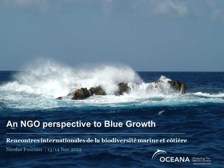 An NGO perspective to Blue Growth Rencontres internationales de la biodiversité marine et côtière Nicolas Fournier | 13/14 Nov 2012.