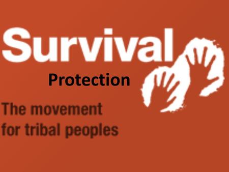 Protection. Protection is vital in ensuring the safety of indigenous communities. Protection is how communities like the Yanomami have a chance to survive.