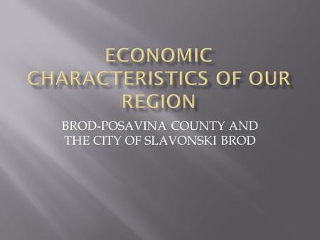 BROD-POSAVINA COUNTY AND THE CITY OF SLAVONSKI BROD.