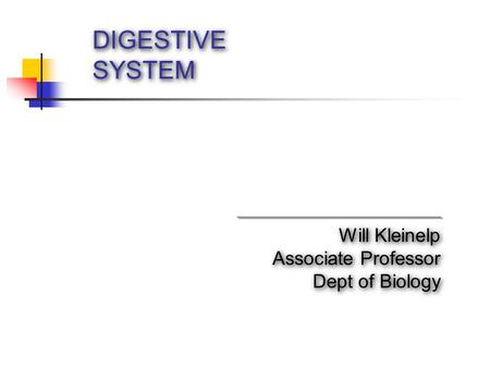 DIGESTIVE SYSTEM Will Kleinelp Associate Professor Dept of Biology Will Kleinelp Associate Professor Dept of Biology.