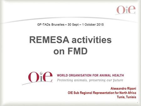 1 Alessandro Ripani OIE Sub Regional Representation for North Africa Tunis, Tunisia GF-TADs Bruxelles – 30 Sept – 1 October 2015 REMESA activities on FMD.