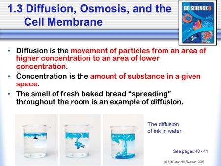 1.3 Diffusion, Osmosis, and the Cell Membrane