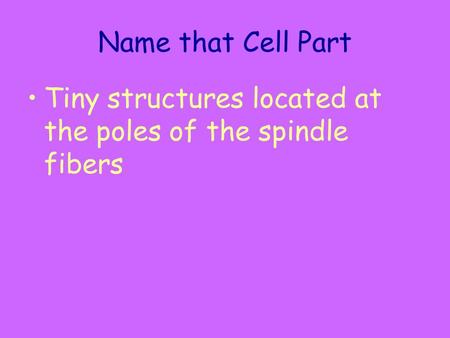 Name that Cell Part Tiny structures located at the poles of the spindle fibers.