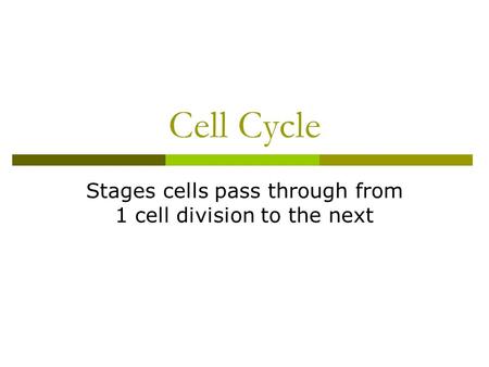 Cell Cycle Stages cells pass through from 1 cell division to the next.