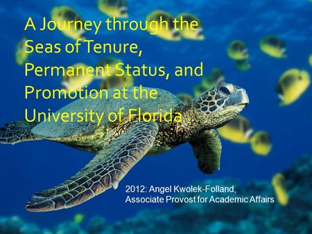 A Journey through the Seas of Tenure, Permanent Status, and Promotion at the University of Florida 2012: Angel Kwolek-Folland, Associate Provost for Academic.