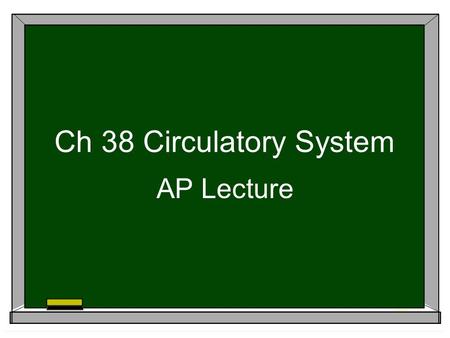 Ch 38 Circulatory System AP Lecture 4 chamber heart is double pump = separates oxygen-rich & oxygen- poor blood; maintains high pressure What’s the adaptive.