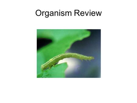 Organism Review.