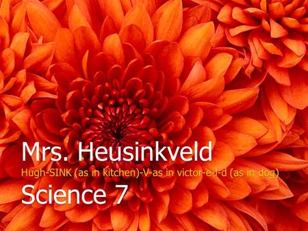 Mrs. Heusinkveld Hugh-SINK (as in kitchen)-V-as in victor-e-l-d (as in dog) Science 7.