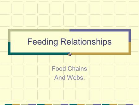 Feeding Relationships Food Chains And Webs.. FOOD CHAINS You need to be familiar with the idea of food chains. In its simplest sense, a food chain shows.