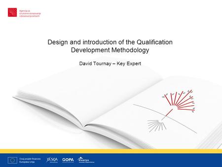 Design and introduction of the Qualification Development Methodology David Tournay – Key Expert.