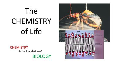The CHEMISTRY of Life CHEMISTRY is the foundation of BIOLOGY.