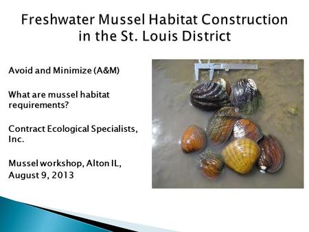Avoid and Minimize (A&M) What are mussel habitat requirements? Contract Ecological Specialists, Inc. Mussel workshop, Alton IL, August 9, 2013.