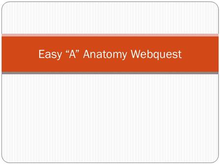 Easy “A” Anatomy Webquest. Introduction Have you ever wondered how the body heals itself or why certain injuries take longer than others to heal? Well.