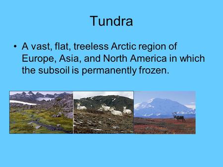 Tundra A vast, flat, treeless Arctic region of Europe, Asia, and North America in which the subsoil is permanently frozen.