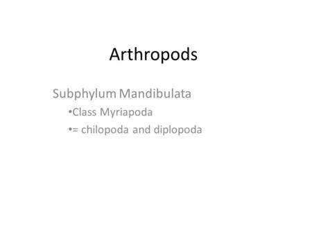 Subphylum Mandibulata Class Myriapoda = chilopoda and diplopoda