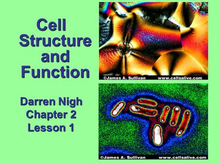 Cell Structure and Function Darren Nigh Chapter 2 Lesson 1.