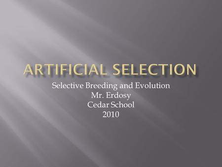 Selective Breeding and Evolution Mr. Erdosy Cedar School 2010.
