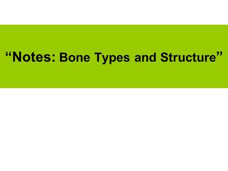“Notes: Bone Types and Structure ”. (1) What are the Bone Regions? Axial –Down the center of body –Skull, vertebral column, rib cage, center pelvis Appendicular.