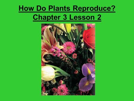 How Do Plants Reproduce? Chapter 3 Lesson 2