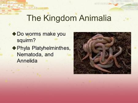 The Kingdom Animalia Do worms make you squirm?