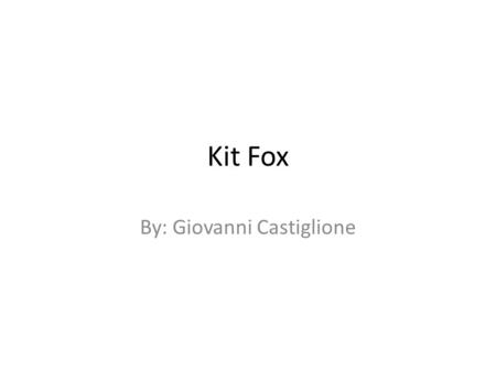 Kit Fox By: Giovanni Castiglione. Introduction Kit Fox is it a baby’s toy or an animal? Maybe you will find out. It’s really fun to learn about new things.