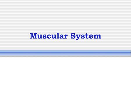Muscular System. Muscle Video Characteristics of Muscles Skeletal and smooth muscle cells are elongated (muscle cell = muscle fiber) Contraction of muscles.