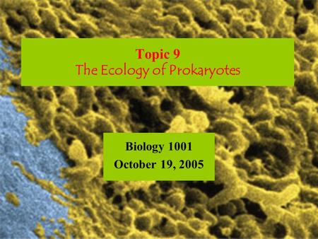 Topic 9 The Ecology of Prokaryotes Biology 1001 October 19, 2005.