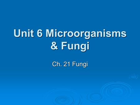 Unit 6 Microorganisms & Fungi Ch. 21 Fungi. What are Fungi?  Fungi are eukaryotic heterotrophs that have cell walls  Chitin - makes up cell walls, a.