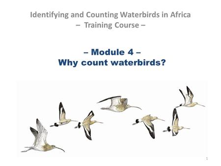 – Module 4 – Why count waterbirds? Identifying and Counting Waterbirds in Africa – Training Course – 1.