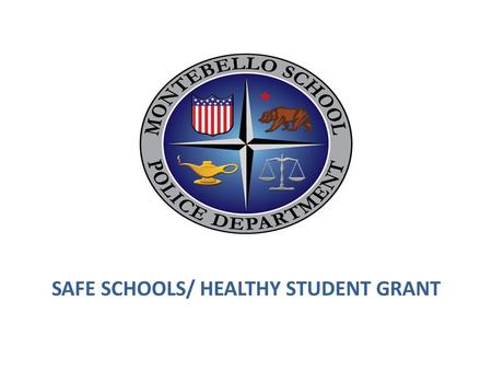 SAFE SCHOOLS/ HEALTHY STUDENT GRANT