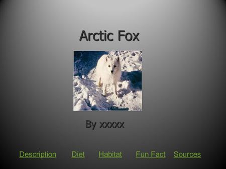 Arctic Fox By xxxxx DescriptionDietFun FactHabitatSources.