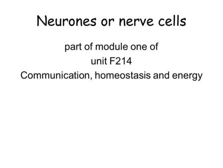 Neurones or nerve cells