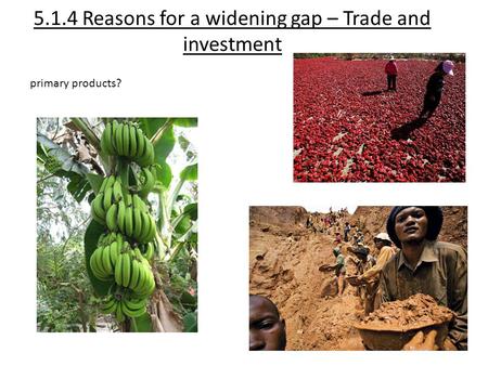 5.1.4 Reasons for a widening gap – Trade and investment primary products?