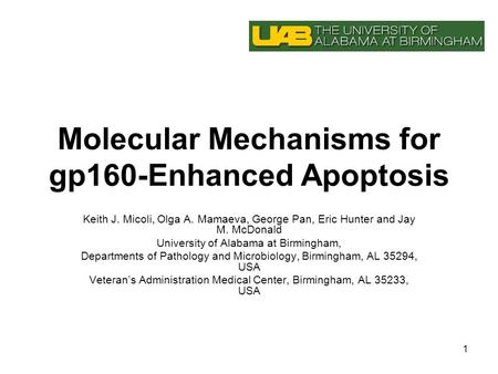 1 Molecular Mechanisms for gp160-Enhanced Apoptosis Keith J. Micoli, Olga A. Mamaeva, George Pan, Eric Hunter and Jay M. McDonald University of Alabama.