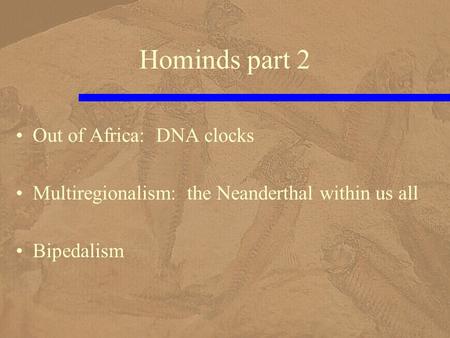 Hominds part 2 Out of Africa: DNA clocks Multiregionalism: the Neanderthal within us all Bipedalism.
