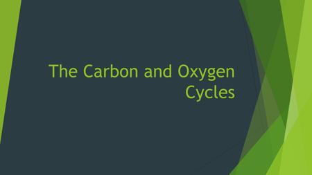 The Carbon and Oxygen Cycles