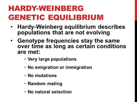 HARDY-WEINBERG GENETIC EQUILIBRIUM Hardy-Weinberg equilibrium describes populations that are not evolving Genotype frequencies stay the same over time.