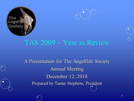 1 TAS 2009 – Year in Review A Presentation for The Angelfish Society Annual Meeting December 12, 2010 Prepared by Tamar Stephens, President.