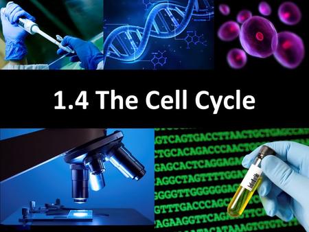 1.4 The Cell Cycle. Learning Goals Learn about the different life stages of a cell Learn about cell death, cell suicide, and cancer.