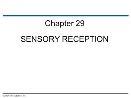 Chapter 29 SENSORY RECEPTION © 2012 Pearson Education, Inc.