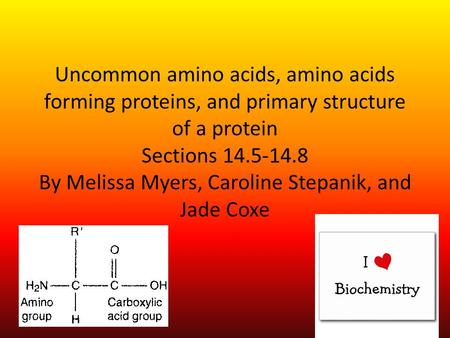 Uncommon amino acids, amino acids forming proteins, and primary structure of a protein Sections 14.5-14.8 By Melissa Myers, Caroline Stepanik, and Jade.
